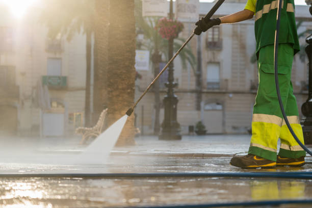 Best Roof Washing  in Lake Wales, FL